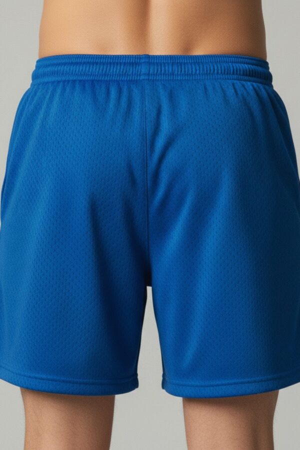 Champion Style Mesh Shorts – Royal Blue Back