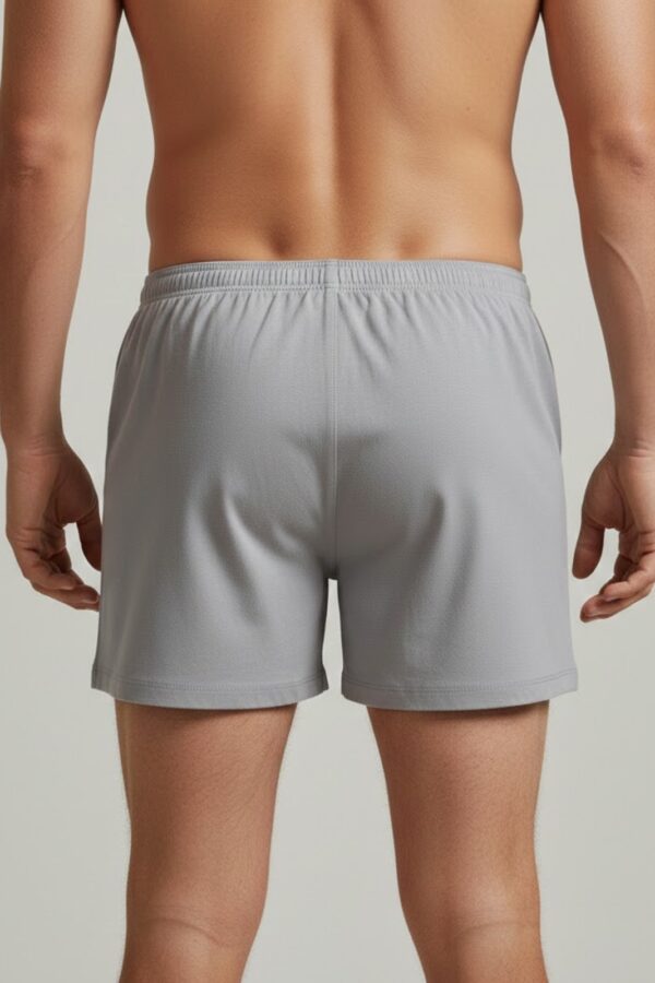 Hanes Style Boxer Shorts – Everyday Fit Back