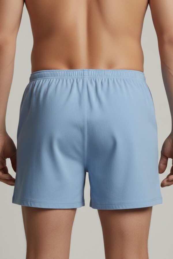 Hanes Style Boxer Shorts – Light Blue Solid Back
