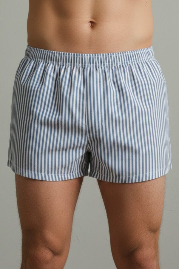 Hanes Style Boxer Shorts – Subtle Stripe