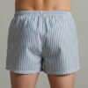 Hanes Style Boxer Shorts – Subtle Stripe Back