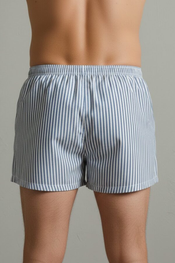 Hanes Style Boxer Shorts – Subtle Stripe Back