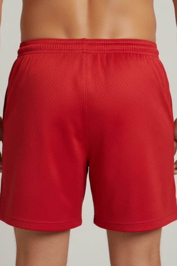 Men’s Mesh Shorts – Red Sports Mesh Back