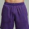 Stussy Style Mesh Shorts – Purple Street Mesh
