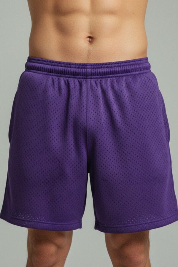 Stussy Style Mesh Shorts – Purple Street Mesh