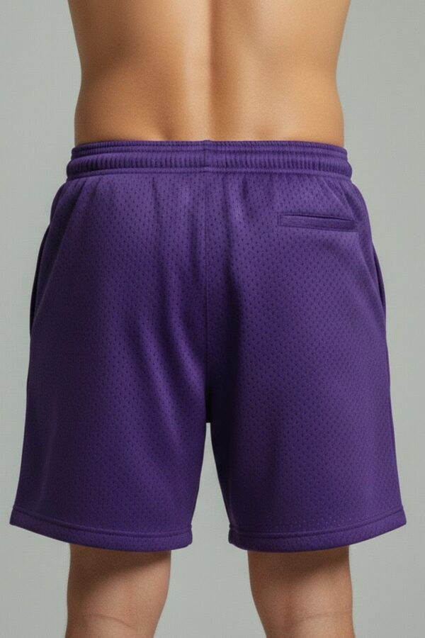 Stussy Style Mesh Shorts – Purple Street Mesh Back
